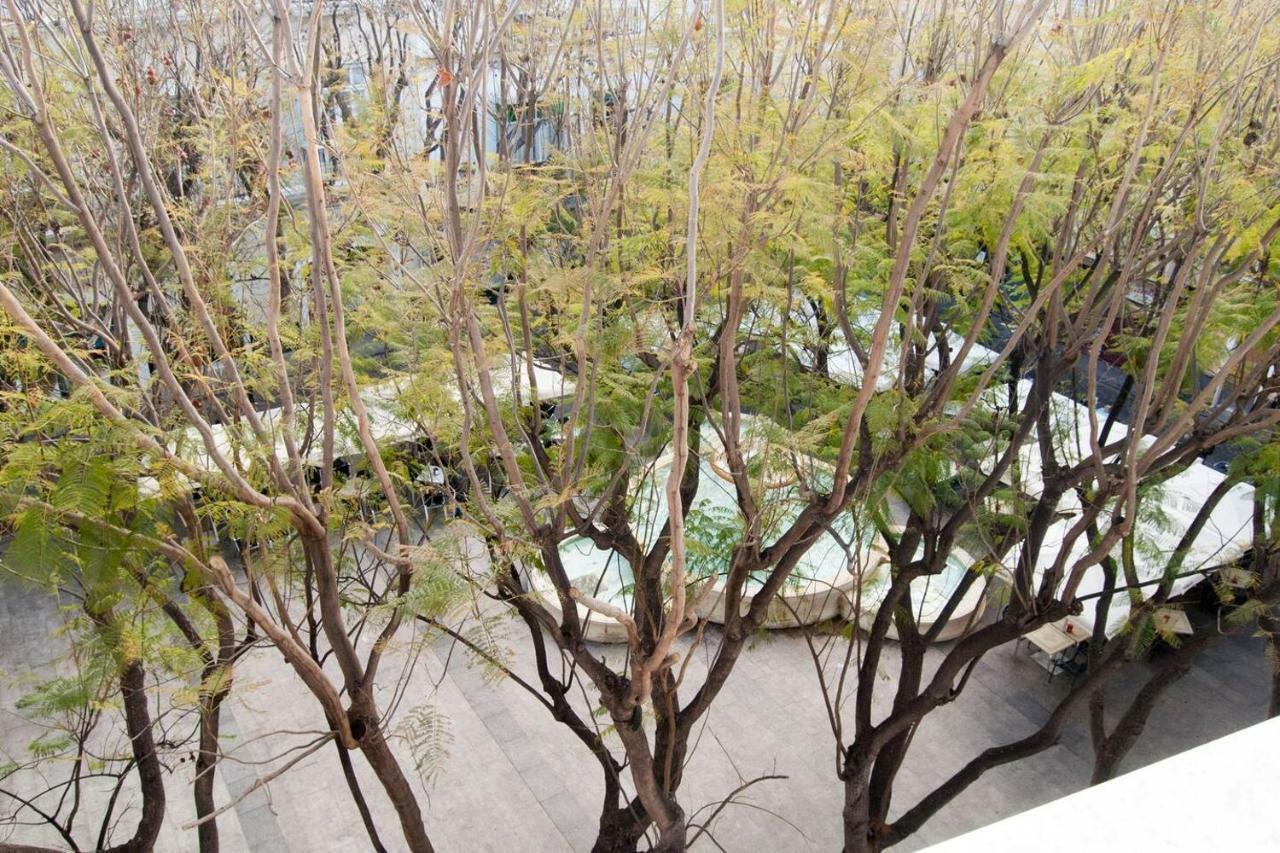 El Mirador Del Mentidero Apartamento